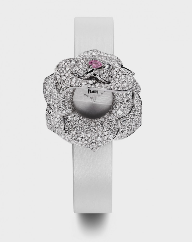 Piaget Rose Passion