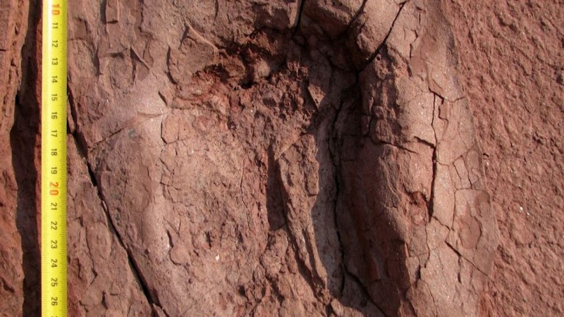 Один из следов динозравра, обнаруженный в шахте Катока